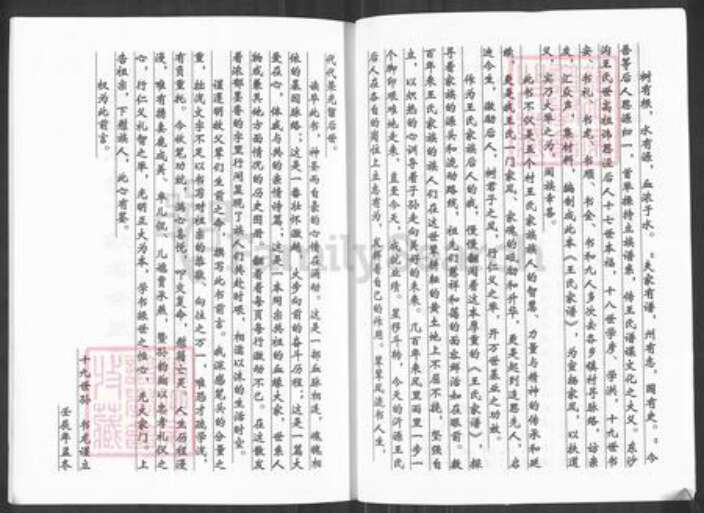 山东省淄博市沂源县中庄镇王氏族谱-王氏家谱.pdf电子版预览图3