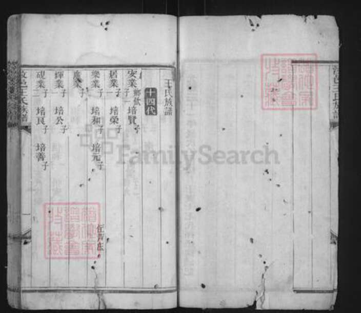 山东省济宁市汶上县王氏族谱-汶邑王氏族谱.pdf电子版预览图3