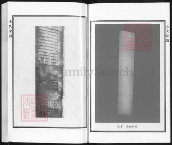 河北省沧州黄骅市旧城镇王氏族谱-王氏家谱.pdf电子版预览图3