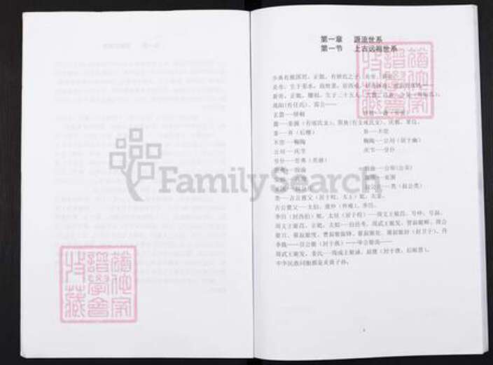 重庆市酆都县王氏三槐堂族谱-重庆市丰都县董家镇蜡烛塘王氏族谱.pdf电子版预览图3