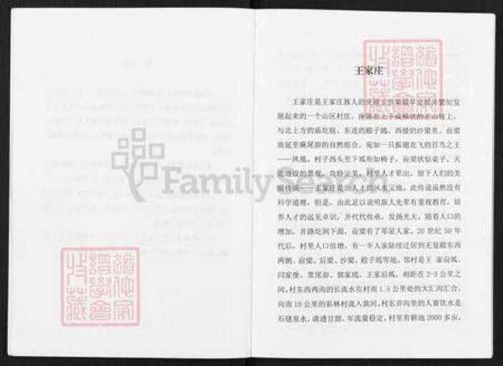 陕西省榆林神木市王氏族谱-神木南乡王家庄家谱.pdf电子版预览图3