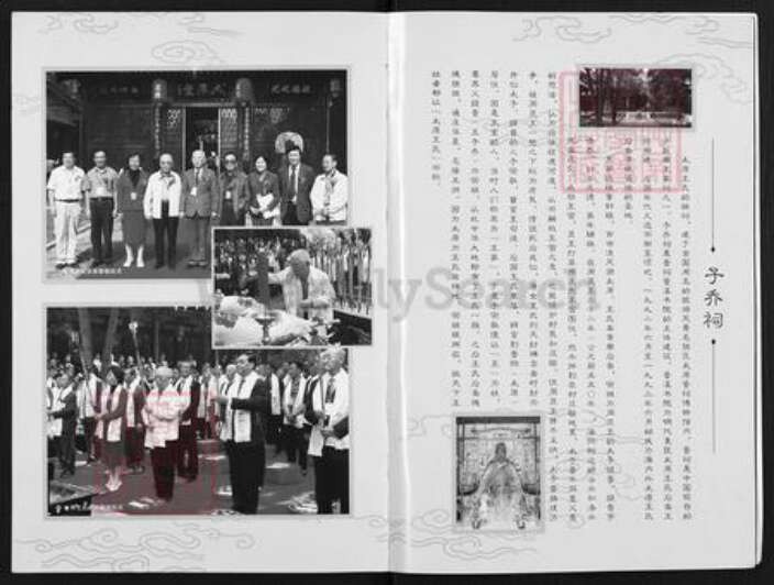 山西省太原市王氏族谱-王氏宗谱.pdf电子版预览图3