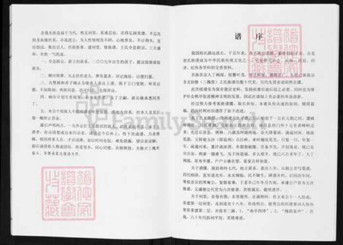 湖北省荆州市监利县容城镇王氏三槐堂族谱-监利王氏宗谱.pdf电子版预览图3