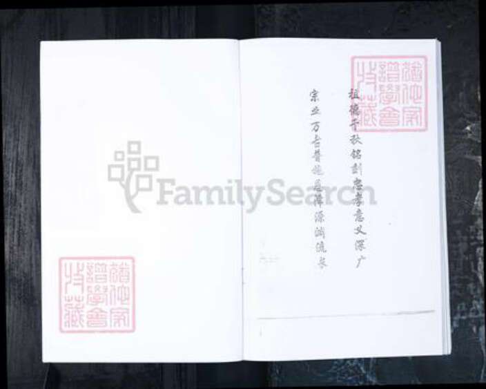 山东省青岛市城阳区王氏族谱-王氏族谱.即墨葛村城阳红岛东大洋支.pdf电子版预览图3