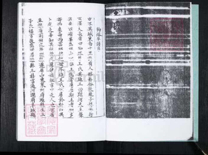 山东省青岛市崂山区王氏族谱-中韩社区王氏族谱.pdf电子版预览图3