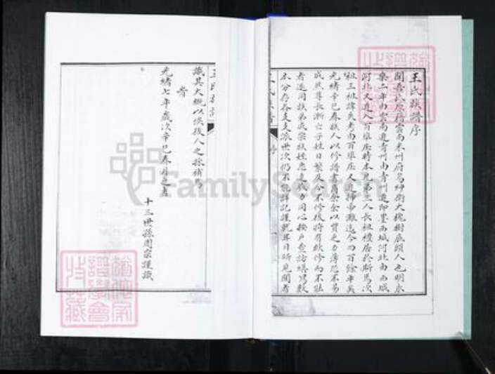 山东省青岛市崂山区王氏族谱-车家下庄王氏族谱.pdf电子版预览图3