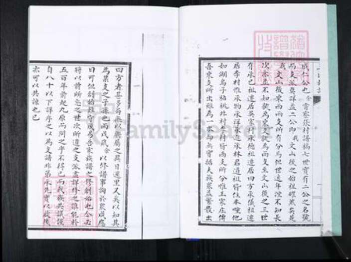 山东省青岛市崂山区王氏族谱-北村孙后王氏族谱.pdf电子版预览图3