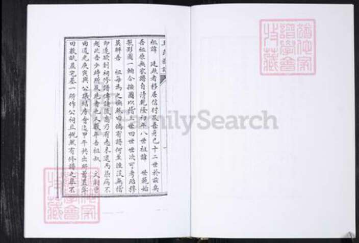 山东省青岛市王氏族谱-王氏族谱.王家庄信村.pdf电子版预览图3