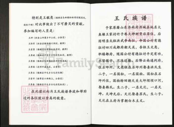 云南省昭通市镇雄县乌峰王氏族谱-王氏家谱.pdf电子版预览图3