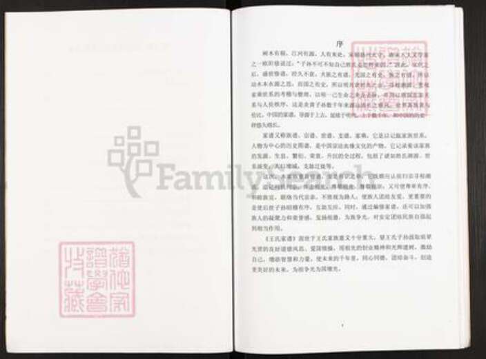 江苏省扬州市仪征市大仪镇王氏三槐堂族谱-王氏家谱.pdf电子版预览图3