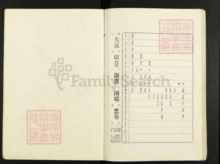 江苏省扬州市高邮市界首镇王氏槐荫堂族谱-王氏家谱.pdf电子版预览图3