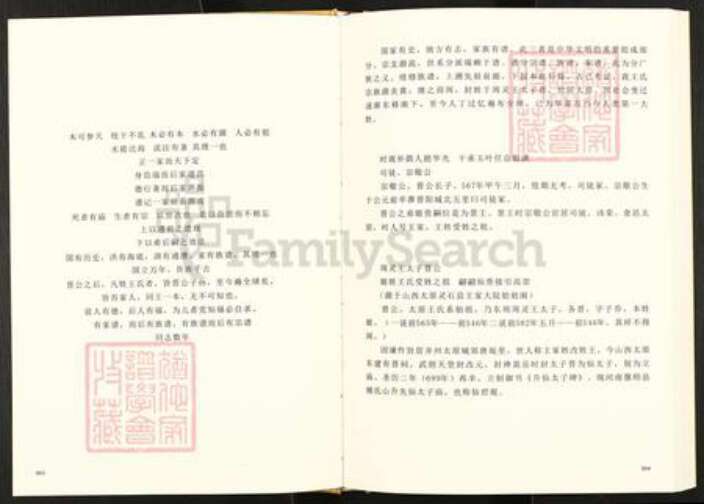 四川省南充市仪陇县日兴镇王氏三槐堂族谱-王氏族谱.pdf电子版预览图3