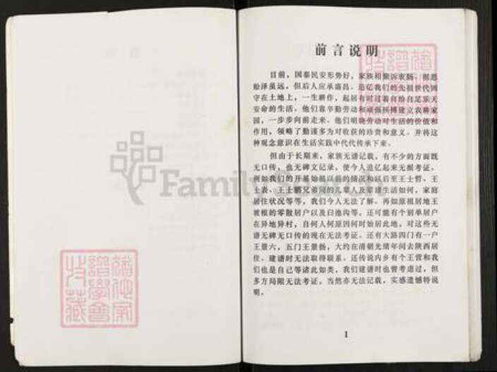 河南省南阳市淅川县上集镇王氏族谱-王氏宗谱.pdf电子版预览图3