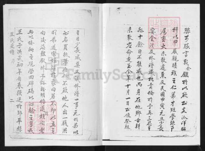 山东省淄博市淄川区王氏族谱-山东淄川城东王氏支谱.pdf电子版预览图3