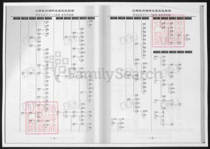 江西省抚州市王氏族谱-江西抚州湖坪太原王氏族谱.pdf电子版预览图3