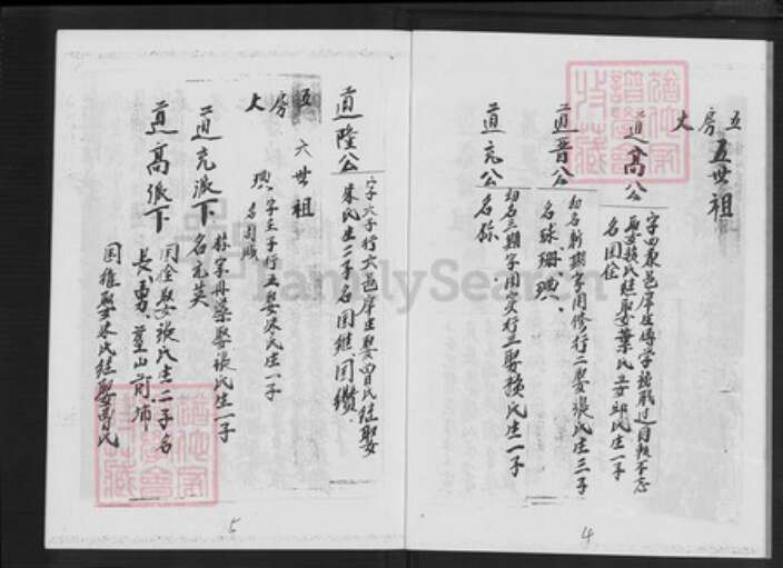 福建省漳州市平和县大溪镇陈氏树德堂族谱-颍川陈氏族谱.pdf电子版预览图3