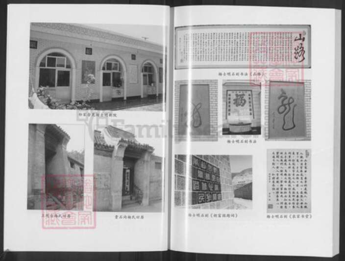 山西省阳泉市平定县冠山镇杨氏族谱-杨氏族谱.pdf电子版预览图3