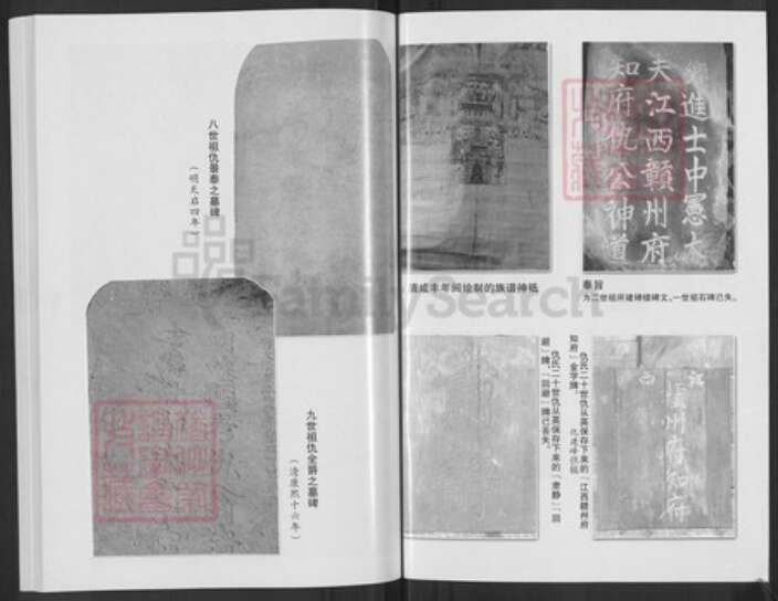 山西省临汾市汾西县团柏乡仇氏族谱-仇氏族谱.pdf电子版预览图3