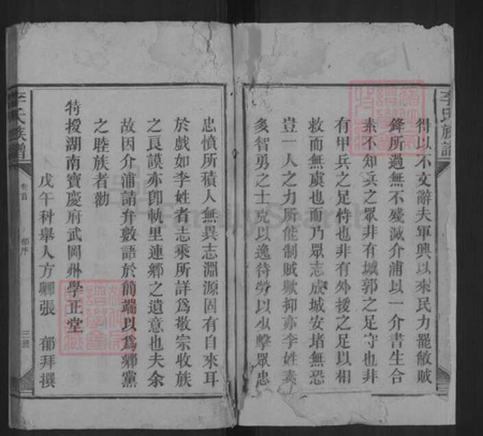 湖南省邵阳市洞口县杨林镇李氏族谱-李氏族谱.pdf电子版预览图3