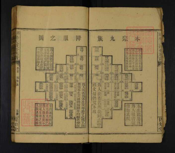 湖南省邵阳市邵东杨氏四知堂族谱-邵东杨氏续修族谱.pdf电子版预览图3