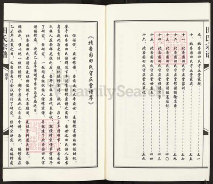 青海省西宁市青海省西宁市田氏守正堂族谱-田氏宗谱.pdf电子版预览图3