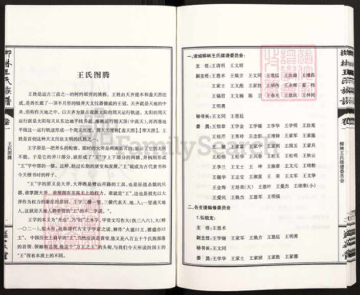 山东省潍坊市诸城市皇华镇王氏益友堂族谱-诸城柳林王氏族谱.pdf电子版预览图3