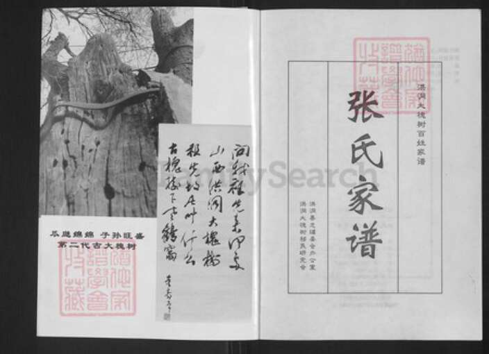 山西省临汾市洪洞县张；张氏族谱-洪桐大槐树百姓家谱.张氏家谱.pdf电子版预览图3