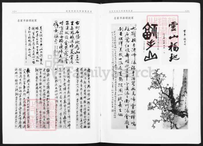 山西省阳泉市平定县冶西镇赵氏族谱-赵家村赵氏阳眷股家谱.pdf电子版预览图3