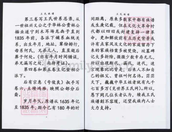 重庆市渝北区王氏袭槐堂族谱-王氏族谱.pdf电子版预览图3