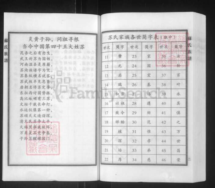 河北省沧州泊头市泊镇镇苏氏族谱-苏氏族谱.pdf电子版预览图3