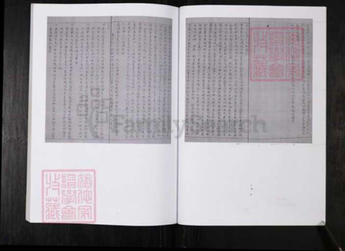 山东省烟台市毛氏族谱-东莱崇儒毛氏族谱.pdf电子版预览图3