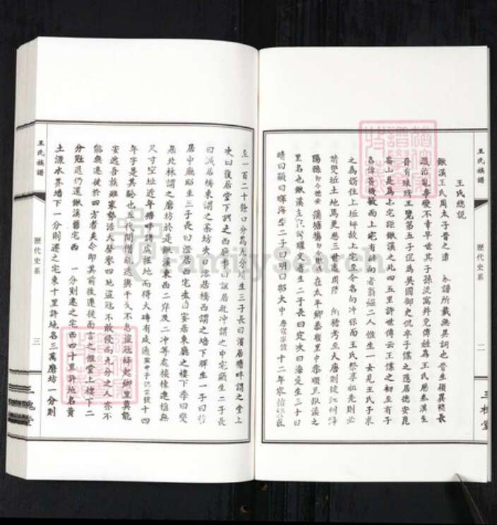 江西省九江市德安县王氏三槐堂族谱-王氏族谱.pdf电子版预览图3