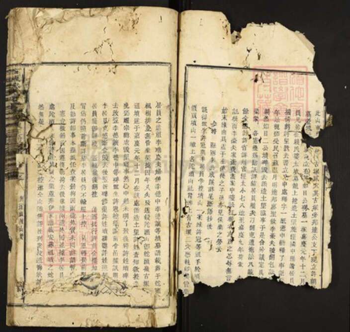 江西省赣州市石城县许氏族谱-石城耽溪田背坊许氏五修族谱.pdf电子版预览图3