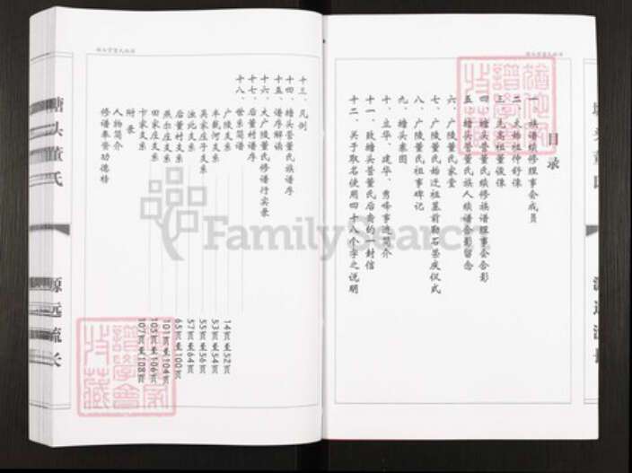 山东省东营市广饶县董氏族谱-塘头营董氏族谱.pdf电子版预览图3