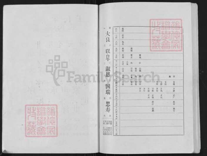 江苏省扬州市高邮市界首镇王氏槐荫堂族谱-王氏家谱.pdf电子版预览图3