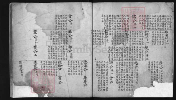 安徽省黄山市歙县许氏族谱-许氏宗谱 [残卷不分卷].pdf电子版预览图3