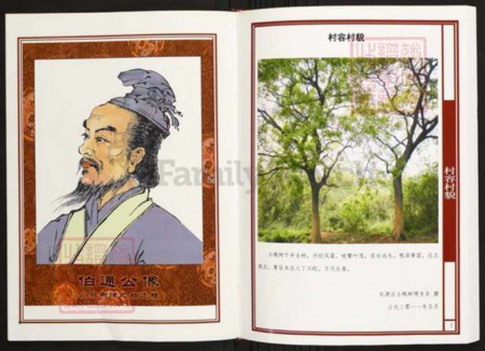 湖北省武汉市江夏区陈氏族谱-中华义门陈氏大成谱东源庄湖北江夏小枫树塆支系谱.pdf电子版预览图3