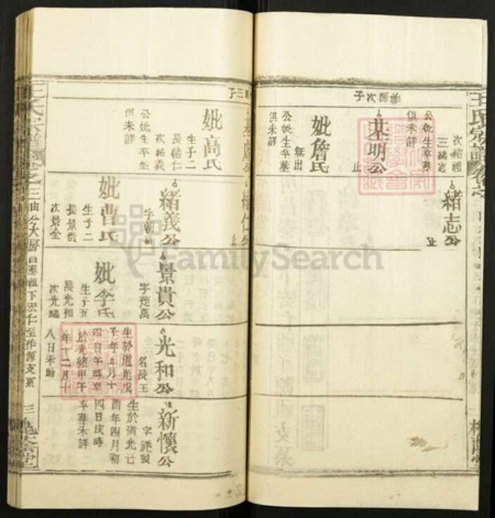 江西省宜春市王氏族谱-王氏宗谱.pdf电子版预览图3