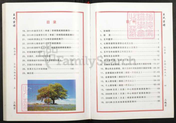 湖北省武汉市新洲区王氏族谱-王氏宗谱.pdf电子版预览图3