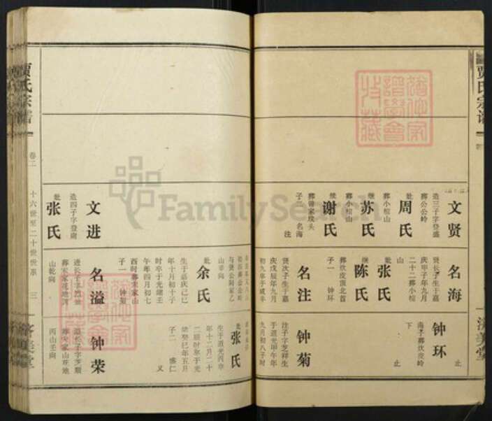 湖北省黄冈市贾氏族谱-贾氏宗谱.pdf电子版预览图3