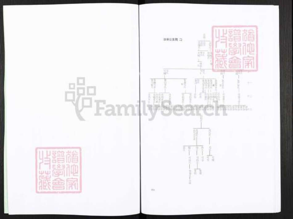 广西壮族自治区玉林平南大鹏镇岑氏族谱-岑氏族谱.pdf电子版预览图3