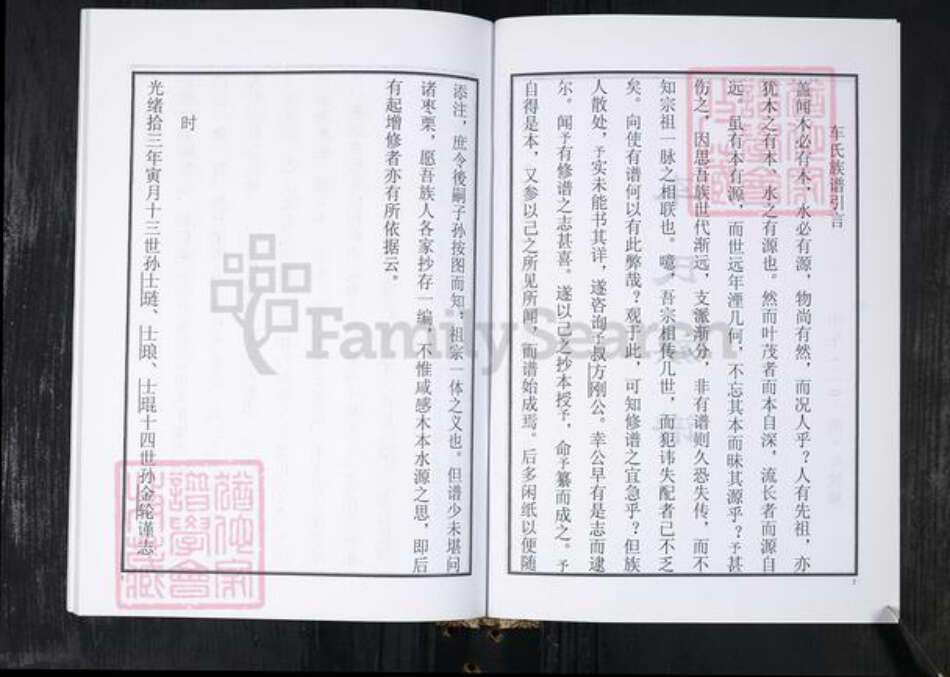 山东省青岛市城阳区车氏族谱-车氏族谱.即墨车家沟城阳棘洪滩中华端口.pdf电子版预览图3