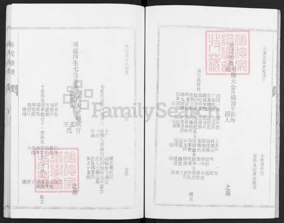 山东省济宁市微山县韩庄镇陈氏颖川堂族谱-陈氏族谱.pdf电子版预览图3