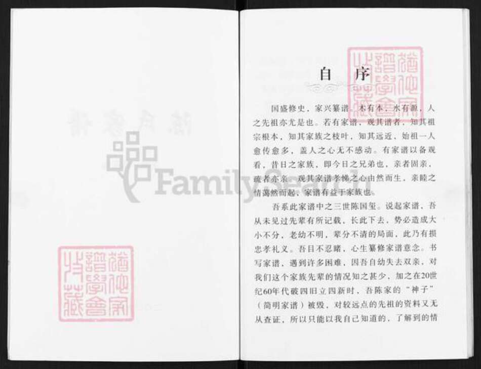 山西省临汾市汾西县永安镇陈氏族谱-陈氏家谱.pdf电子版预览图3