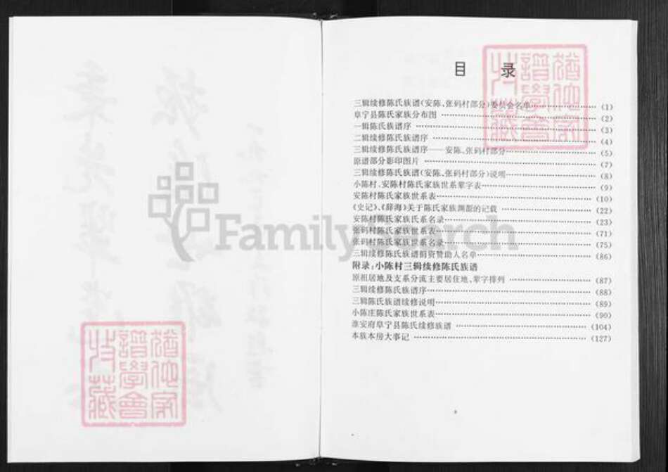 江苏省盐城市阜宁县陈集镇陈氏族谱-陈氏家谱.pdf电子版预览图3