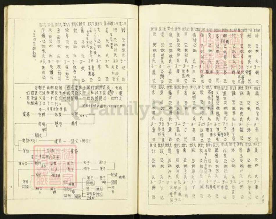 广东省河源市和平林寨镇陈氏族谱-廷念公裔祖谱.pdf电子版预览图3