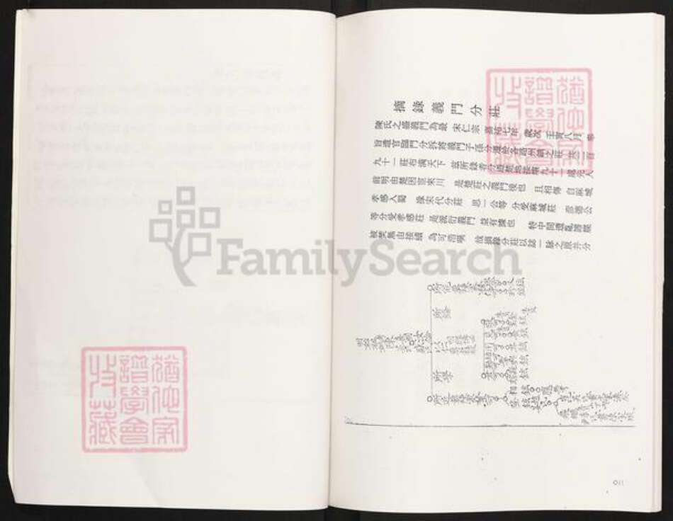 四川省眉山市眉山陈氏族谱-陈氏家谱.颍川郡江州义门陈氏四川仁寿县满井王家大湾.pdf电子版预览图3