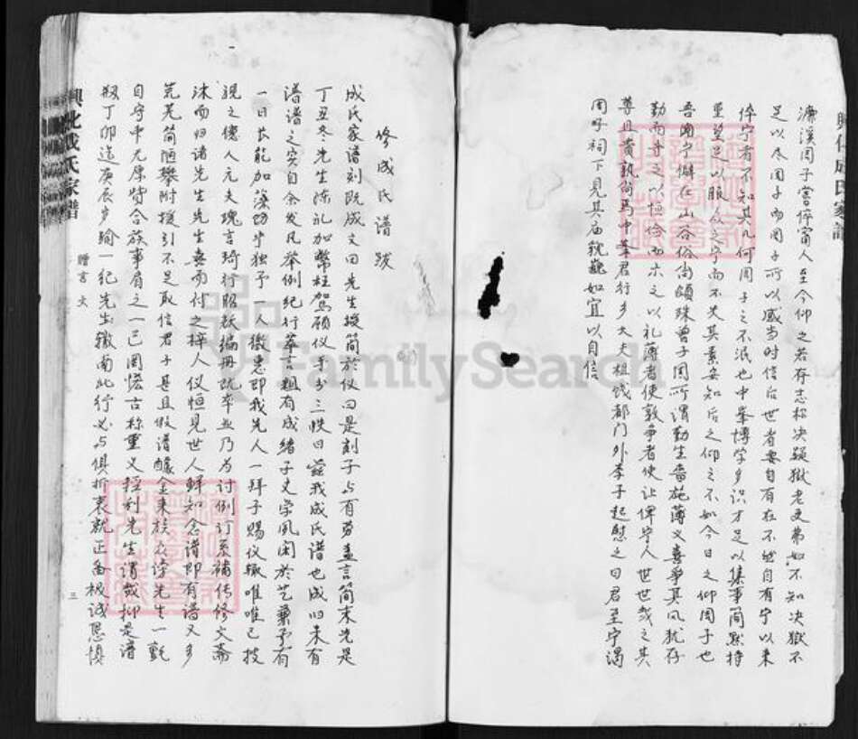 江苏省泰州市兴化市成氏族谱-兴化成氏家谱.pdf电子版预览图3