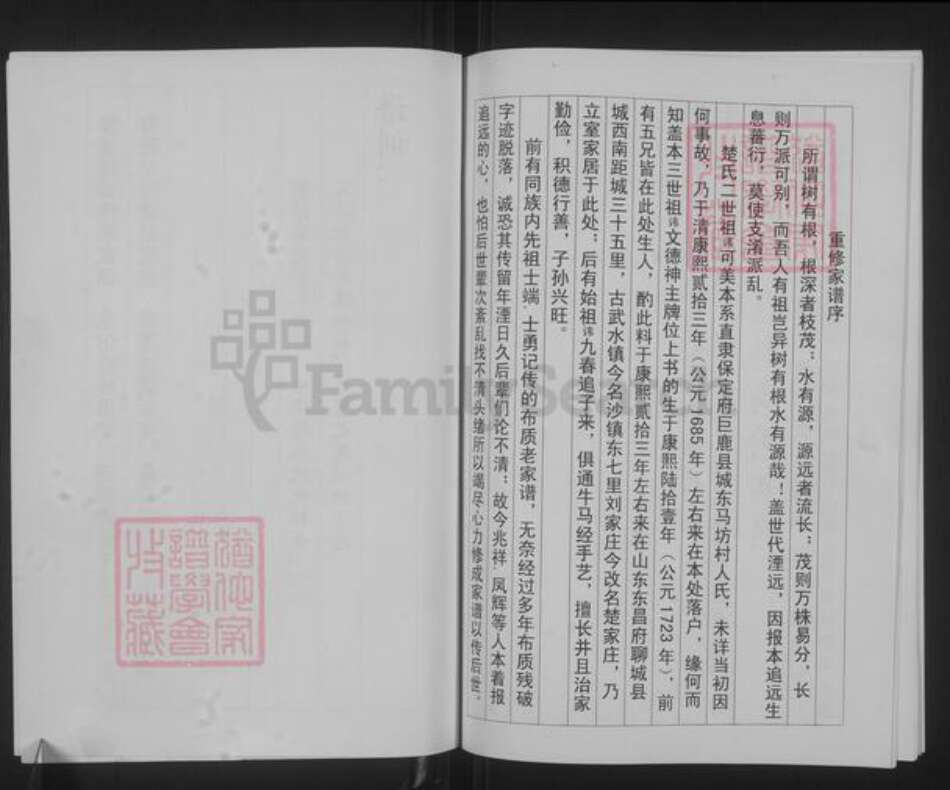 山东省聊城市聊城市沙镇镇楚氏族谱-楚氏家谱.pdf电子版预览图3
