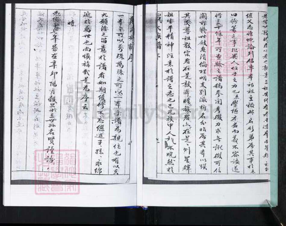 山东省青岛市崂山区戴氏族谱-大麦岛戴氏族谱.pdf电子版预览图3